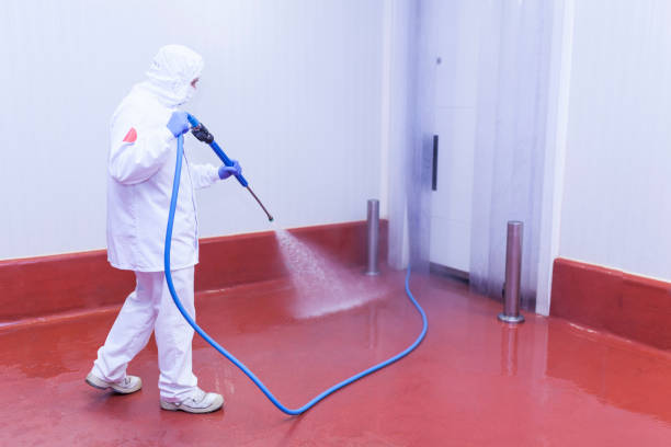 Best Playground Equipment Cleaning  in Secaucus, NJ